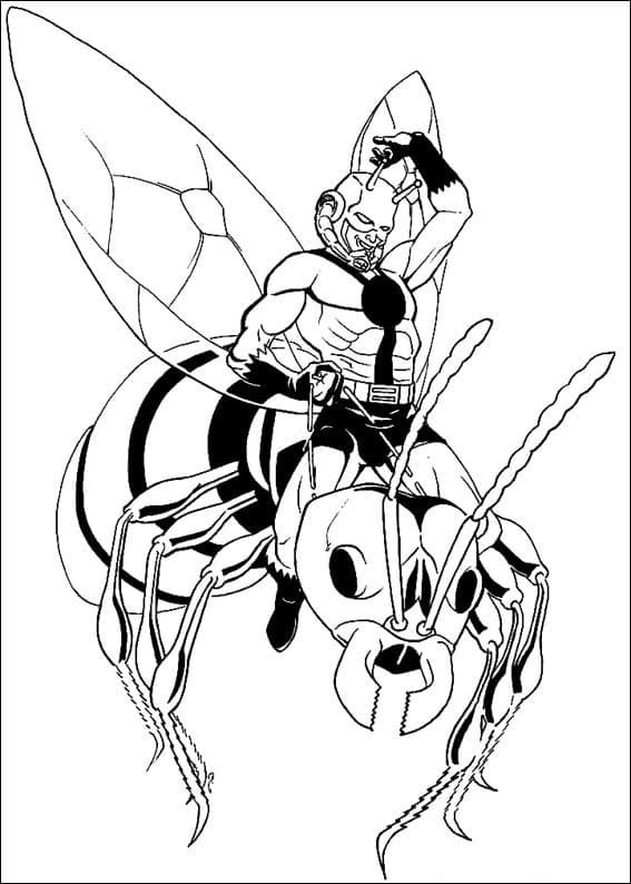 Раскраска Человек-муравей. Раскраска 3