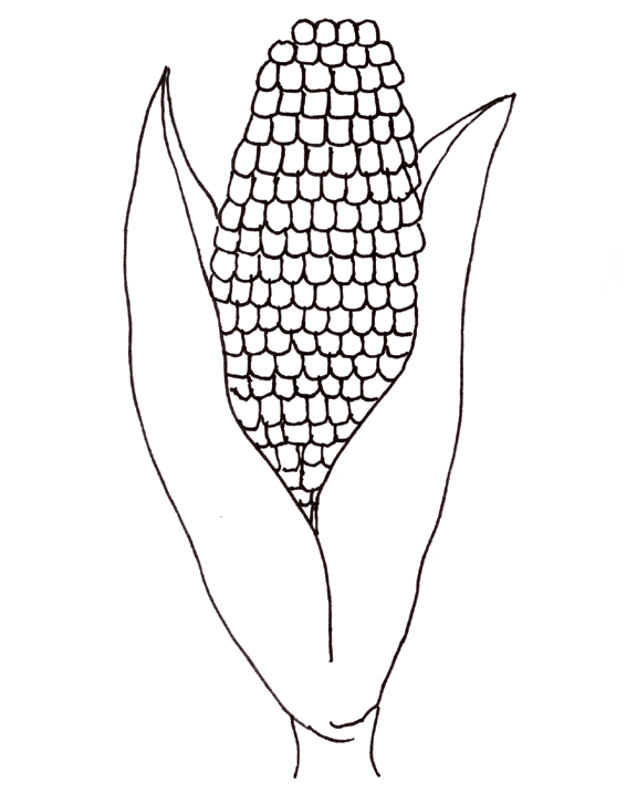 Раскраска Кукуруза. Раскраска 8