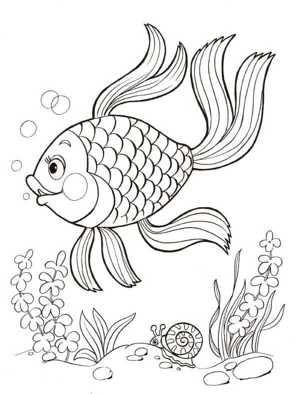 Раскраски Золотая рыбка. Раскраска 2