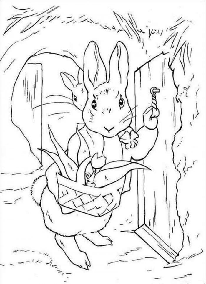 Раскраска Кролик Питер. Раскраска 14
