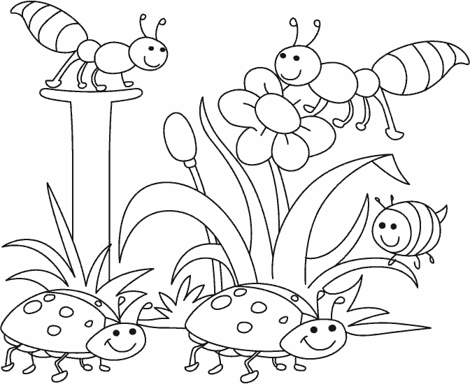 Раскраски насекомых для детей — 100 штук