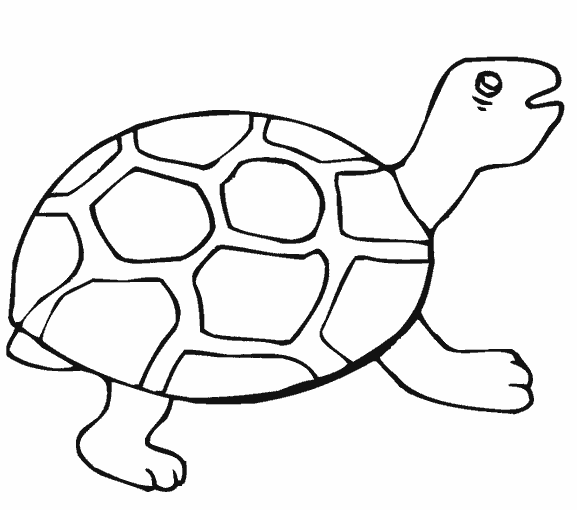 Раскраска Черепаха. Раскраска 18