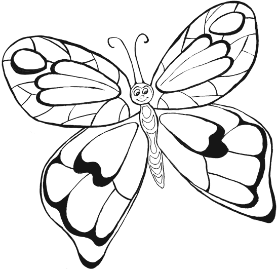 Раскраска Бабочки. Раскраска 23