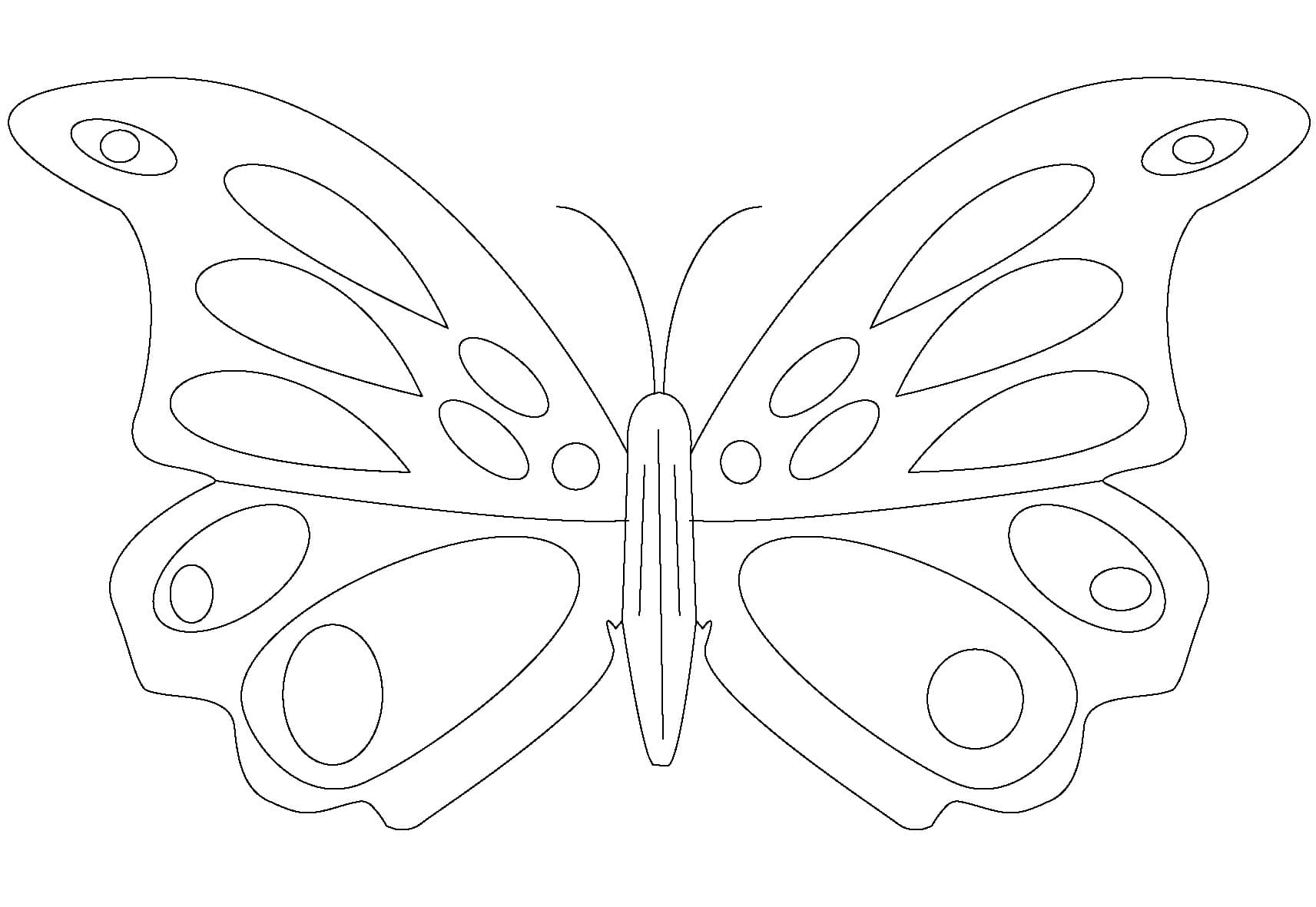 Раскраска Бабочки. Раскраска 19