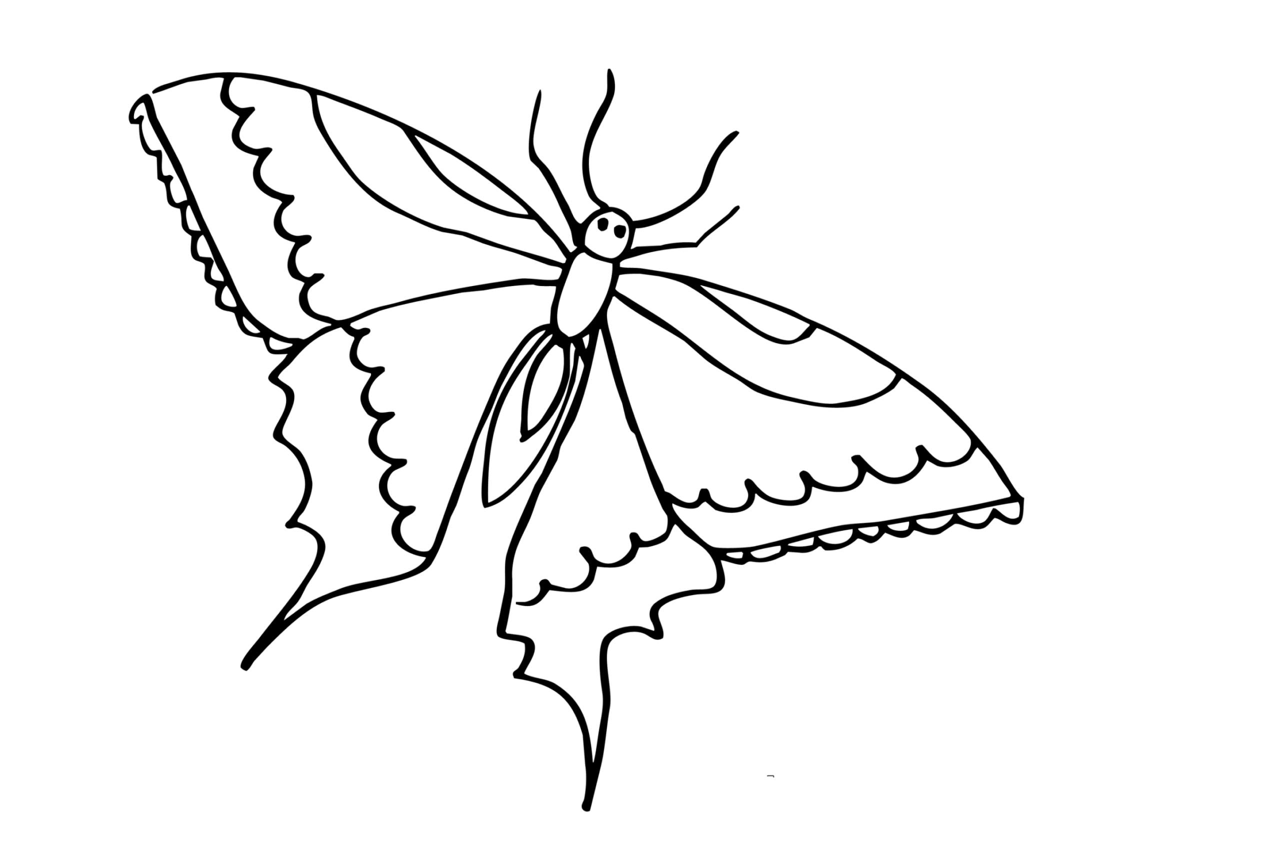 Раскраска Бабочки. Раскраска 9