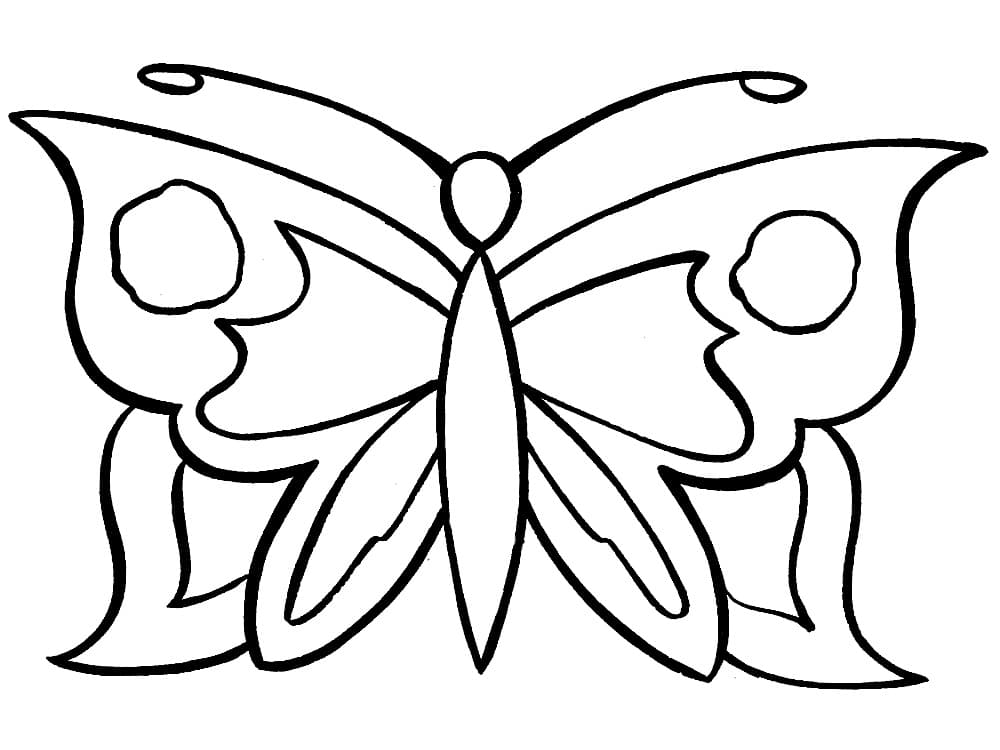 Раскраска Бабочки. Раскраска 12