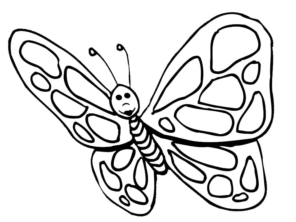 Раскраска Бабочки. Раскраска 15