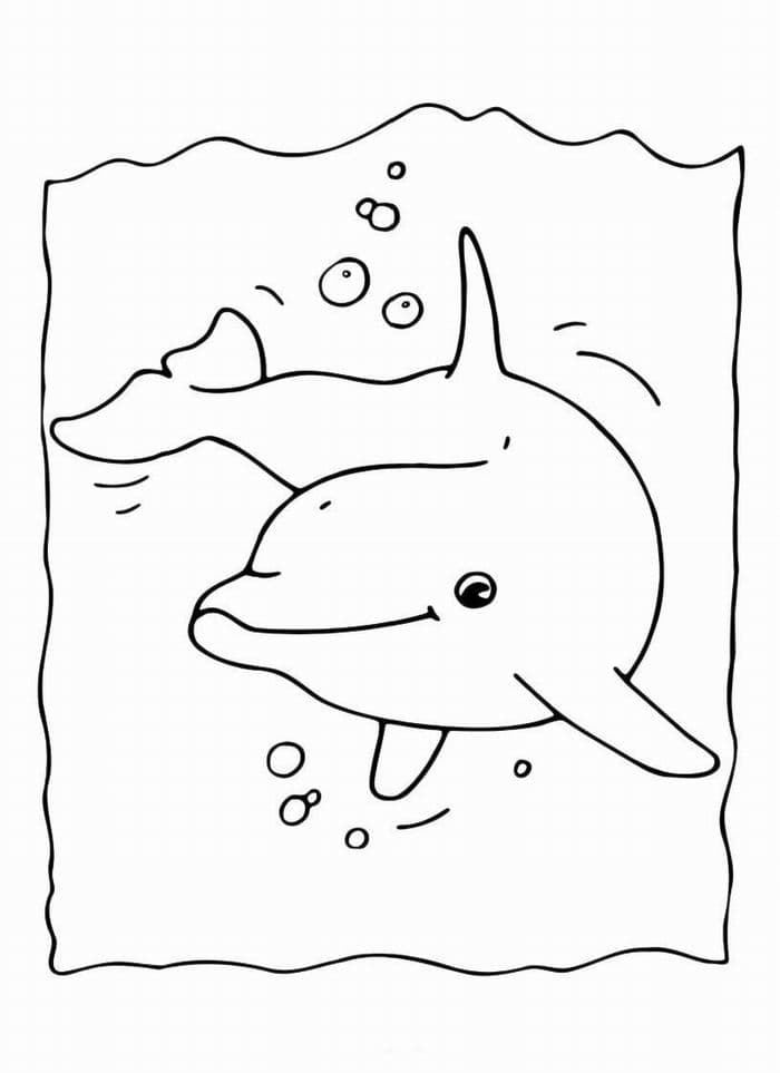 Раскраска Дельфин. Раскраска 12