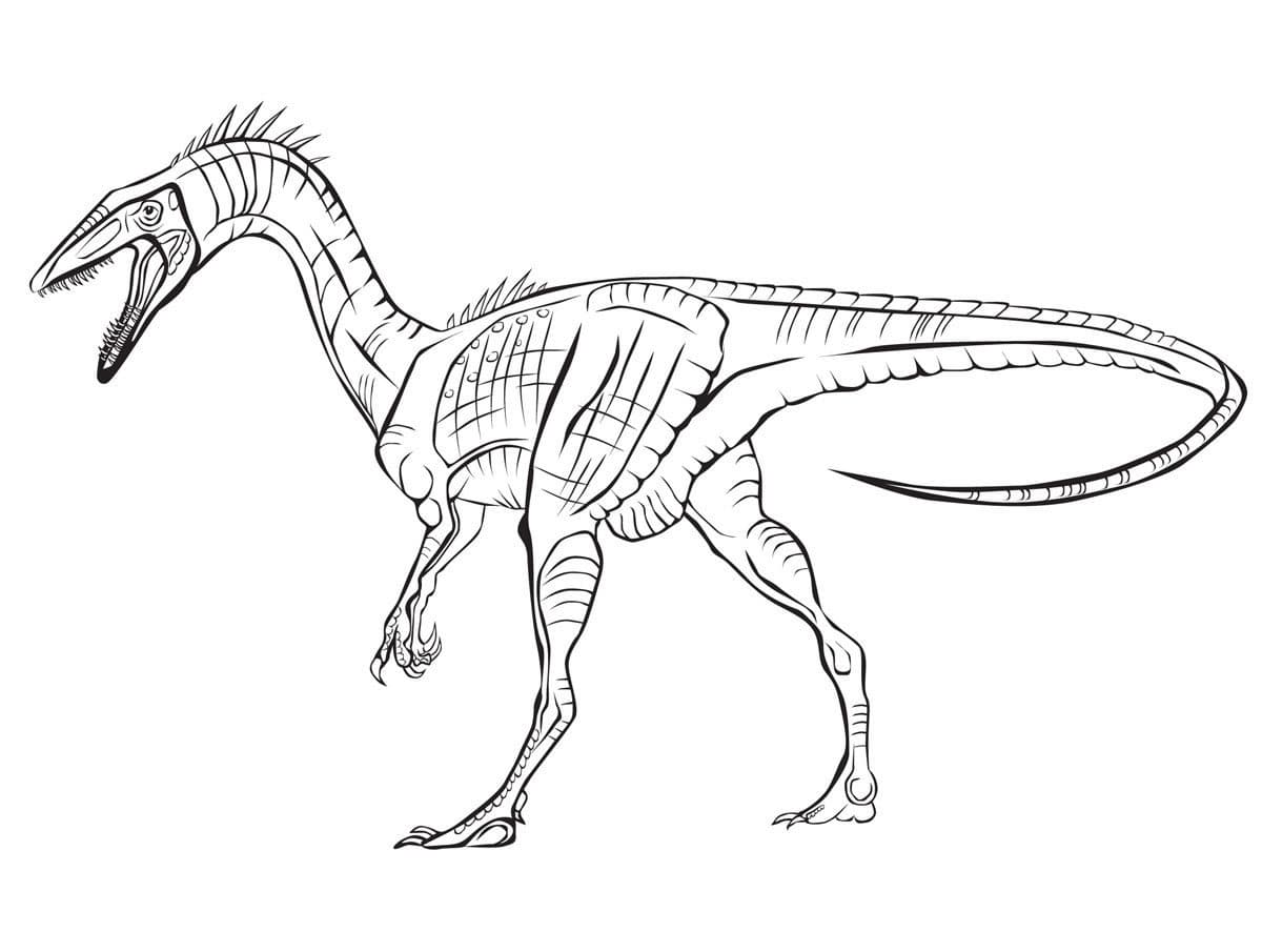 Раскраска Динозавры. Раскраска 38