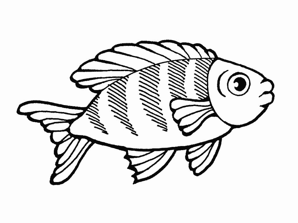Раскраска Рыбка. Раскраска 19