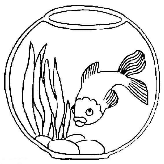 Раскраска Рыбка. Раскраска 33