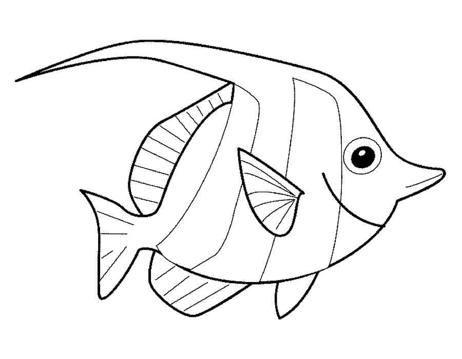 Раскраска Рыбка. Раскраска 38