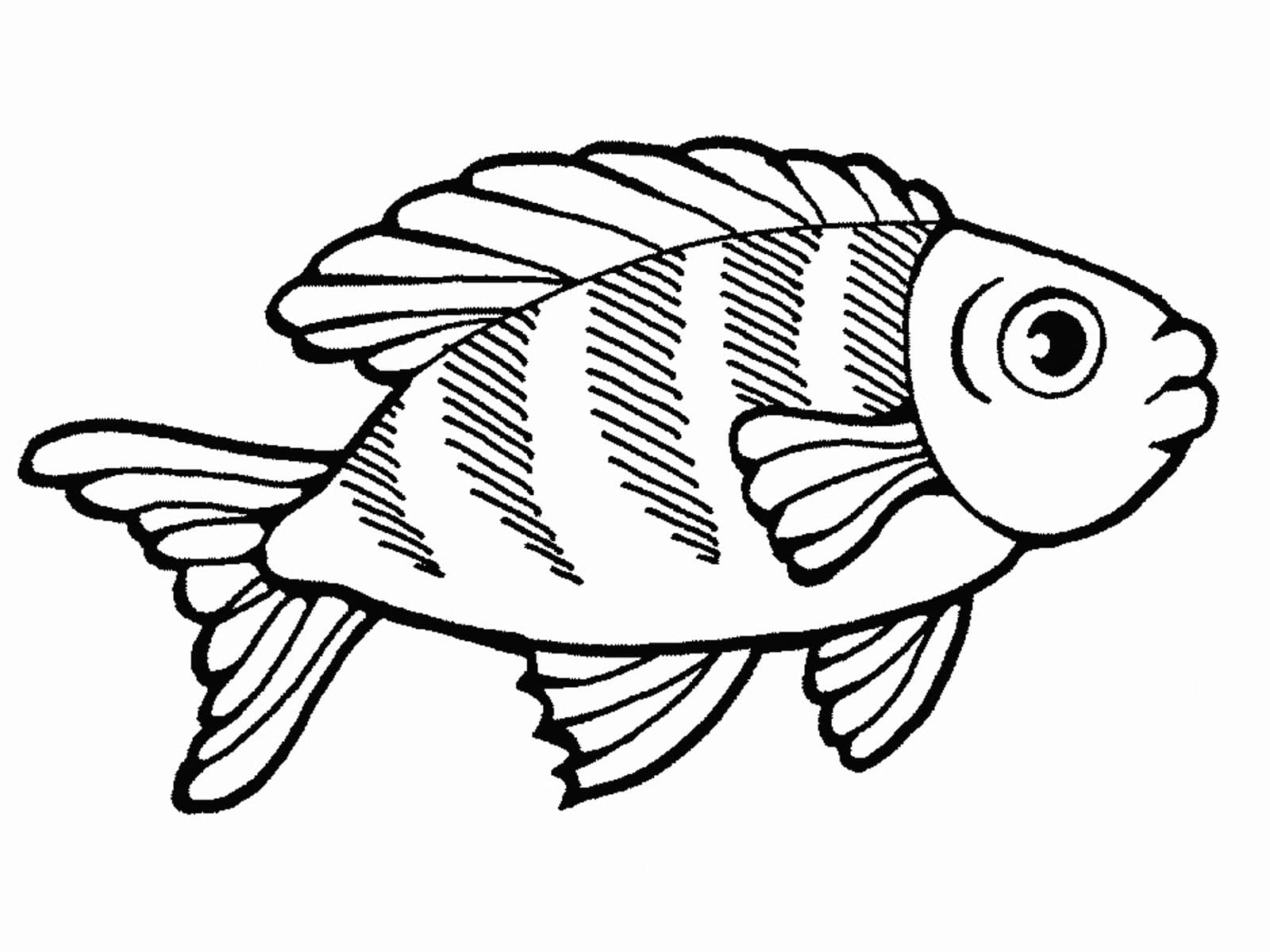 Раскраска Рыбка. Раскраска 18