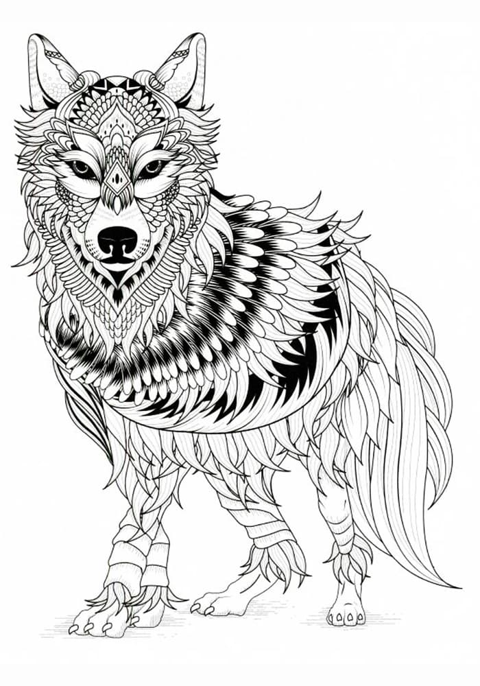 Раскраска Волк. Раскраска 37