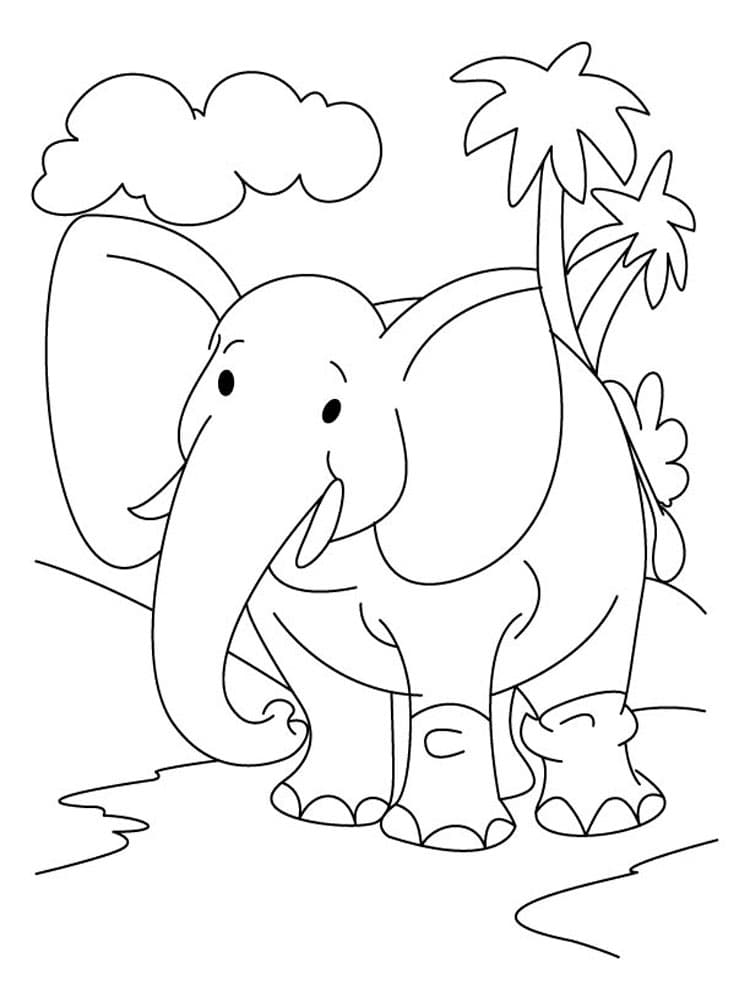 Раскраски для взрослых скачать слон