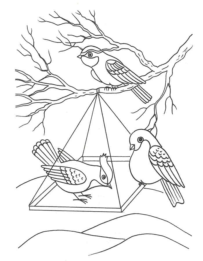 Раскраска Зимующие птицы. Раскраска 15