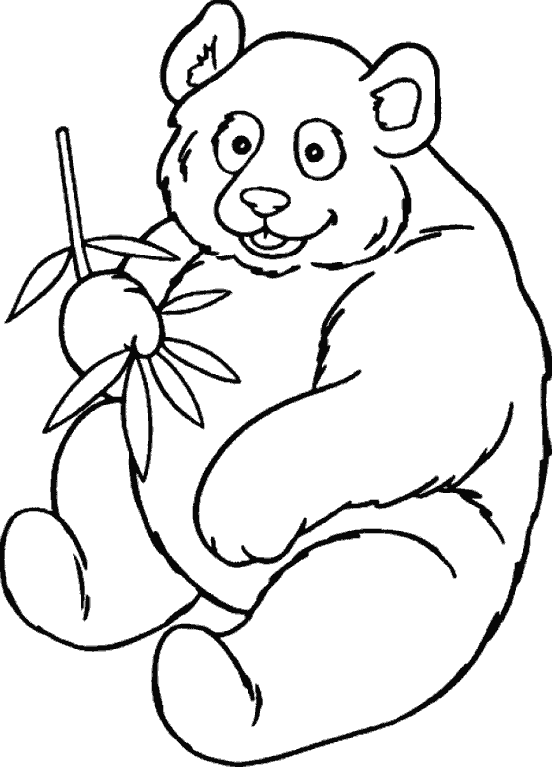 Раскраска Медведь. Раскраска 16