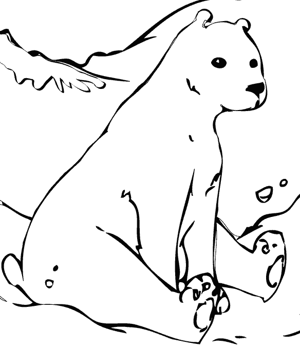 Раскраска Медведь. Раскраска 12