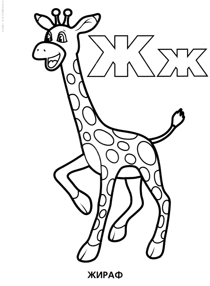 Раскраска Жираф. Раскраска 3