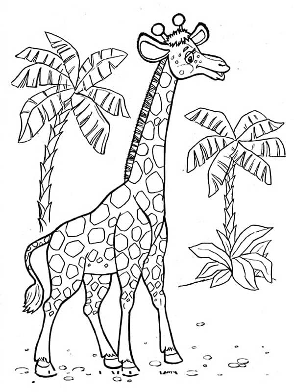 Раскраска Жираф. Раскраска 5