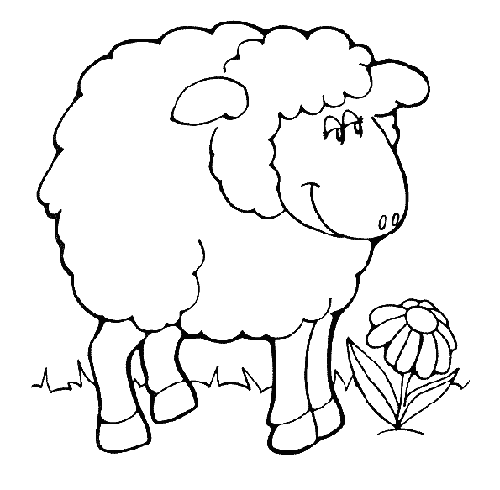 Раскраска Овца. Раскраска 9