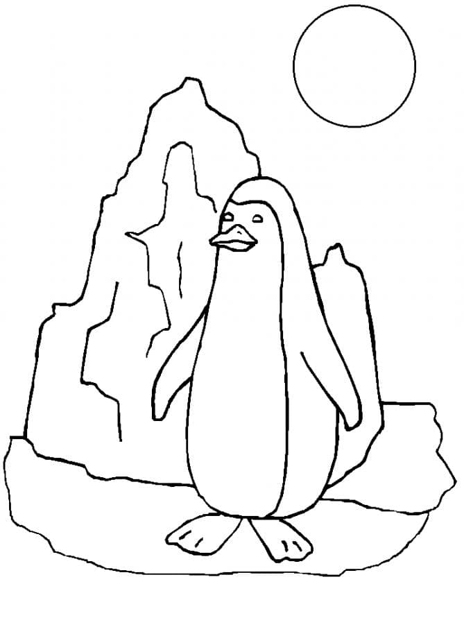 Раскраска Пингвин. Раскраска 18