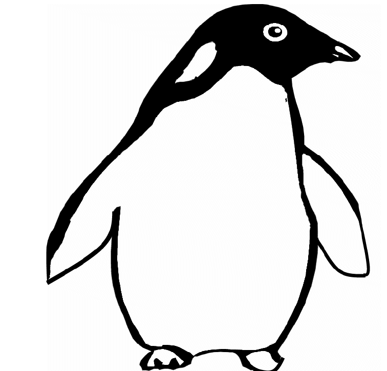 Раскраска Пингвин. Раскраска 3