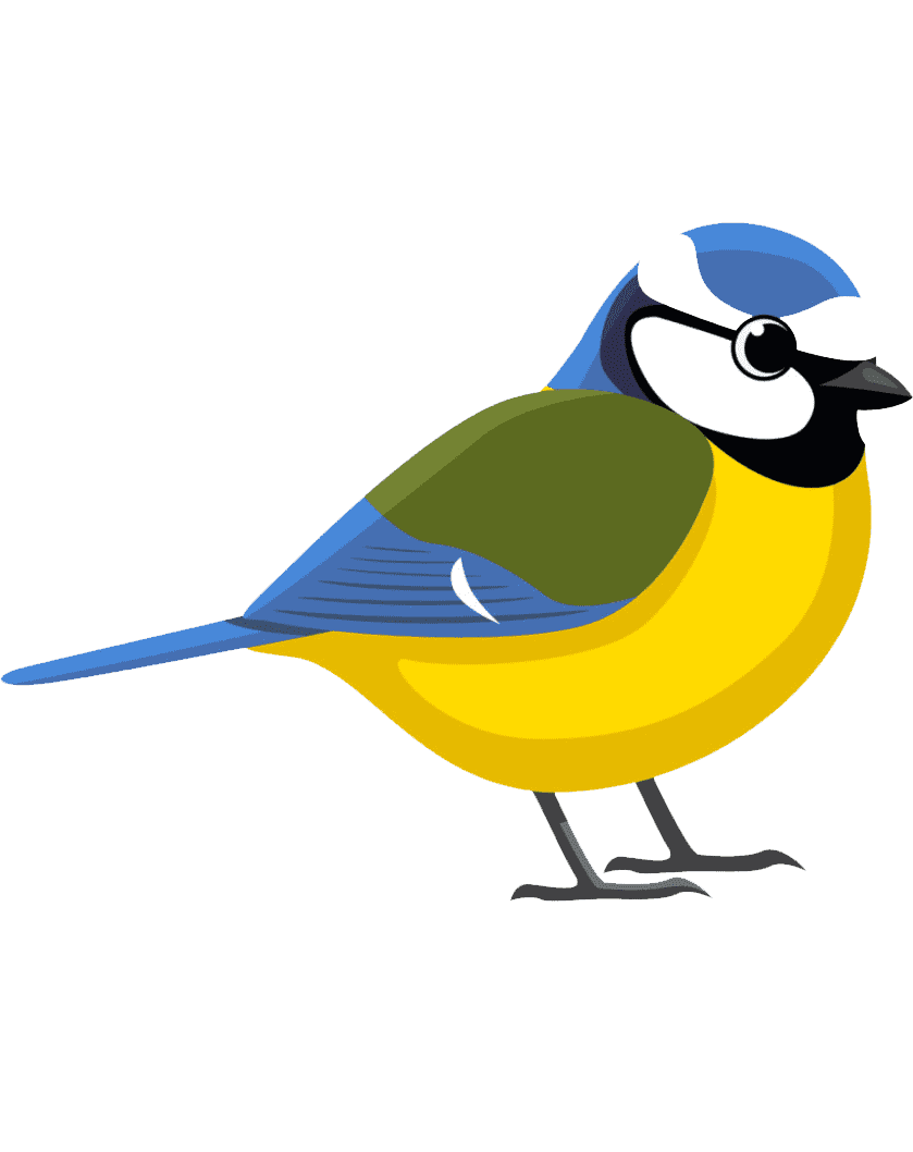 Кормушка-раскраска для птиц 