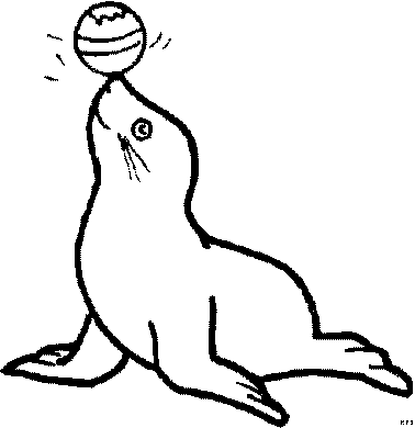 Раскраска Морской Котик. Раскраска 4