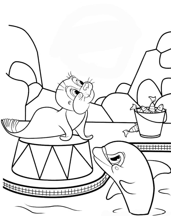 Раскраска Морской Котик. Раскраска 5