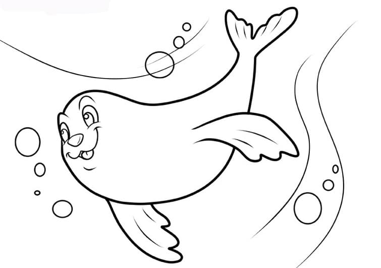 Раскраска Морской Котик. Раскраска 7