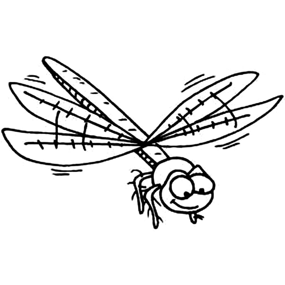 Раскраски летающих насекомых для детей