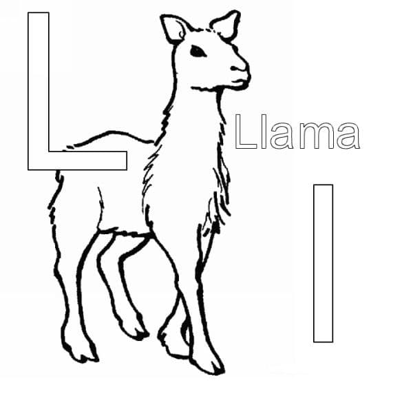 Раскраска лама. Раскраска 12