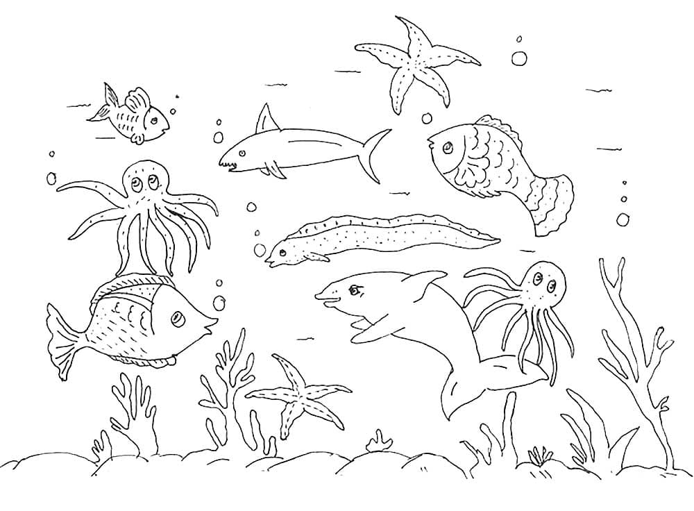 Раскраска морские обитатели. Раскраска 19