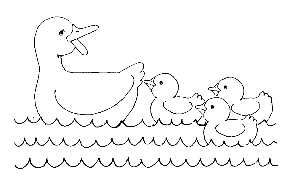Раскраска утка с утятами на озере