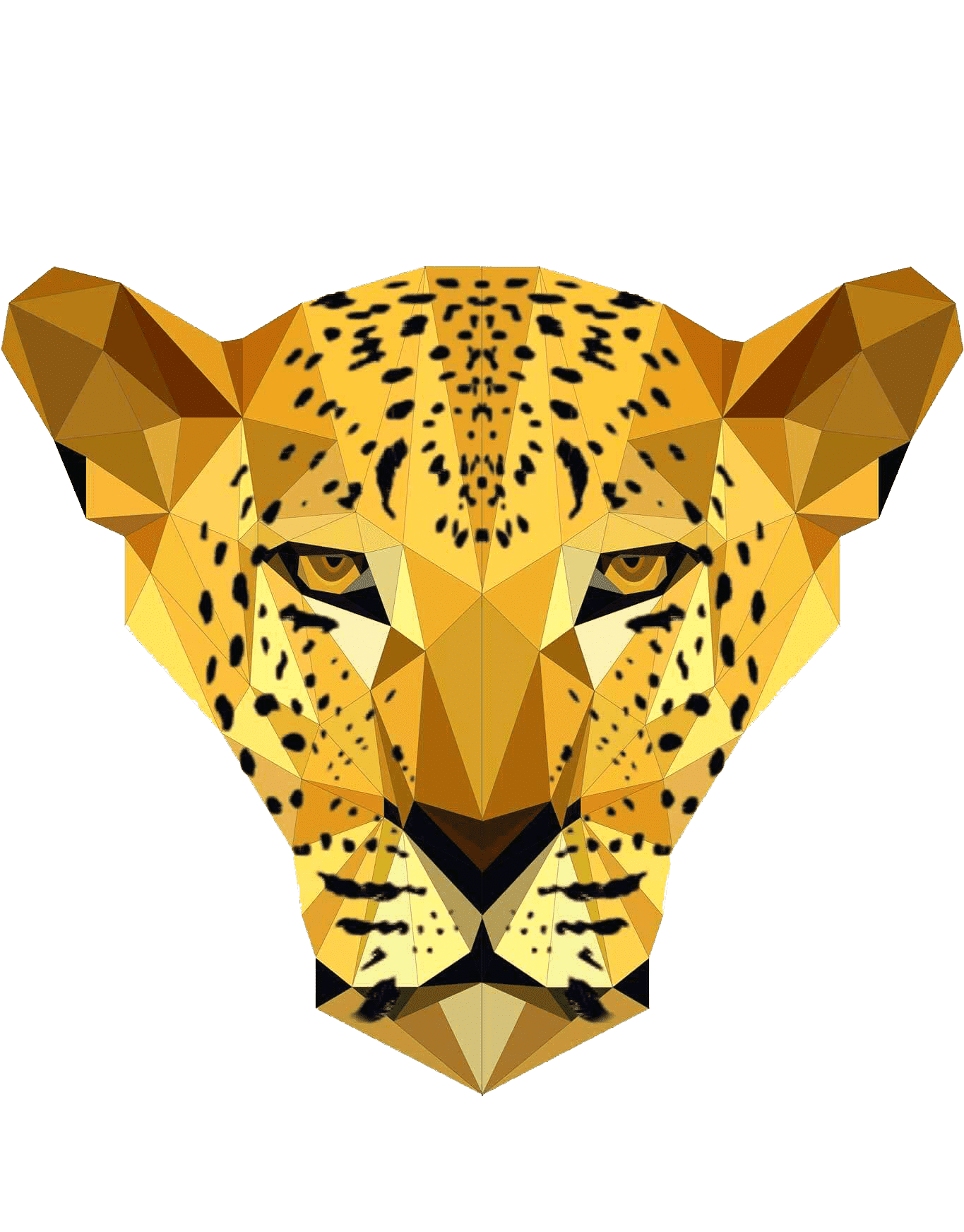 Раскраска Леопард