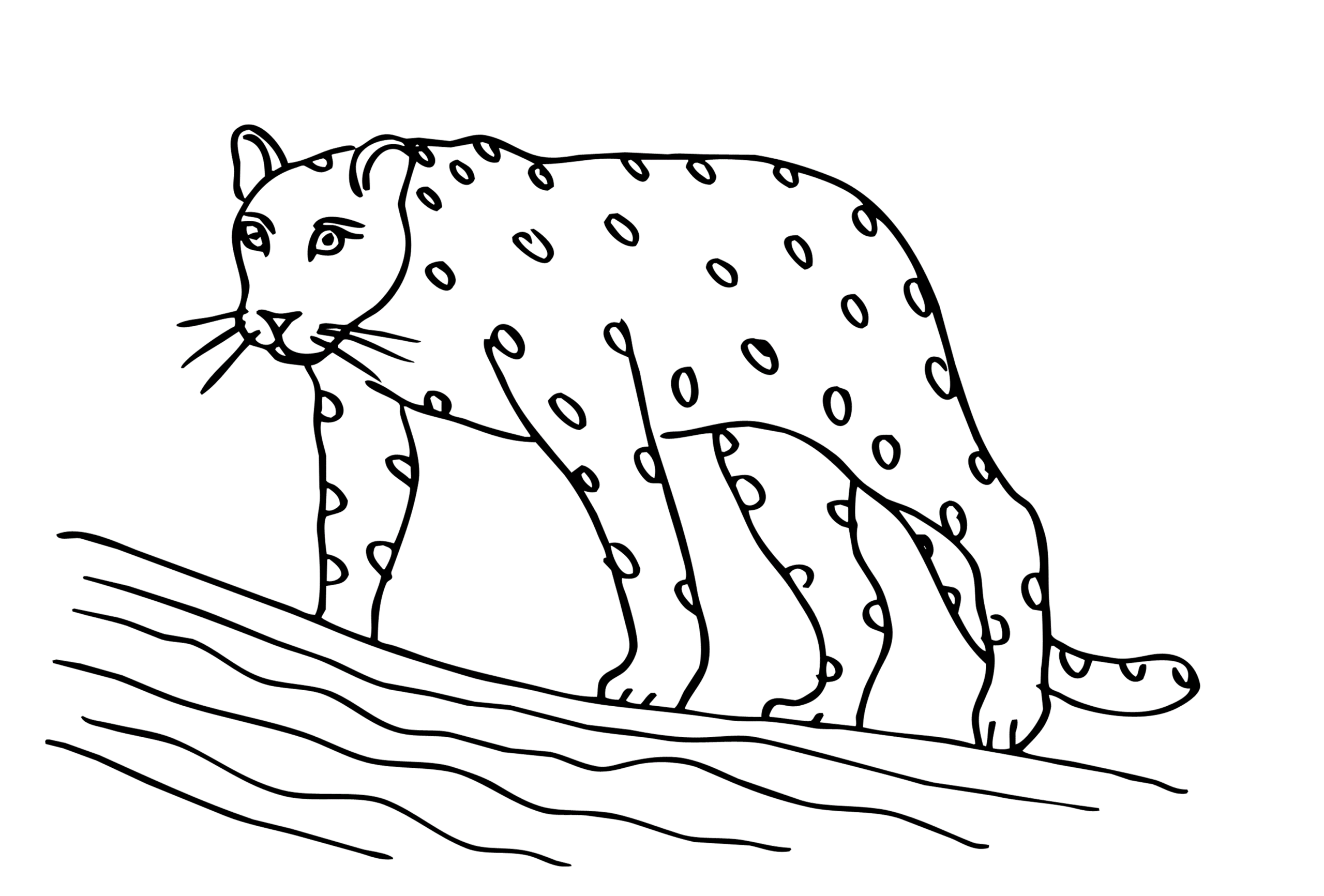Раскраска Леопард. Раскраска 9