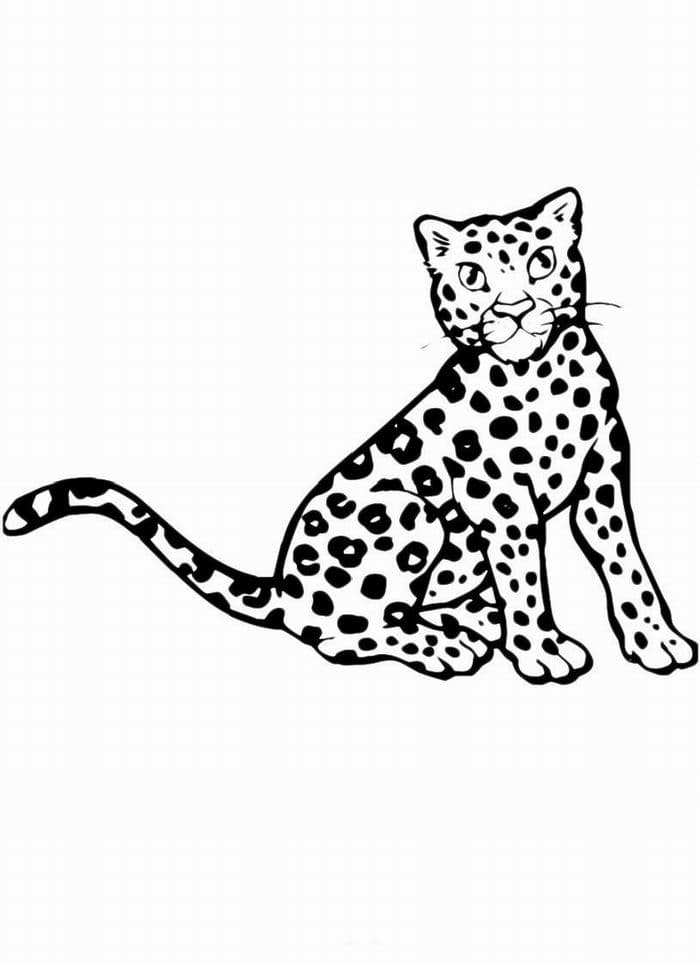 Раскраска Леопард. Раскраска 10