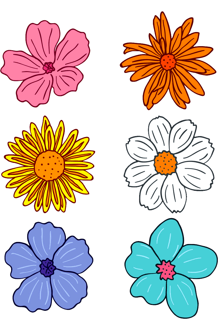 Раскраска Цветы