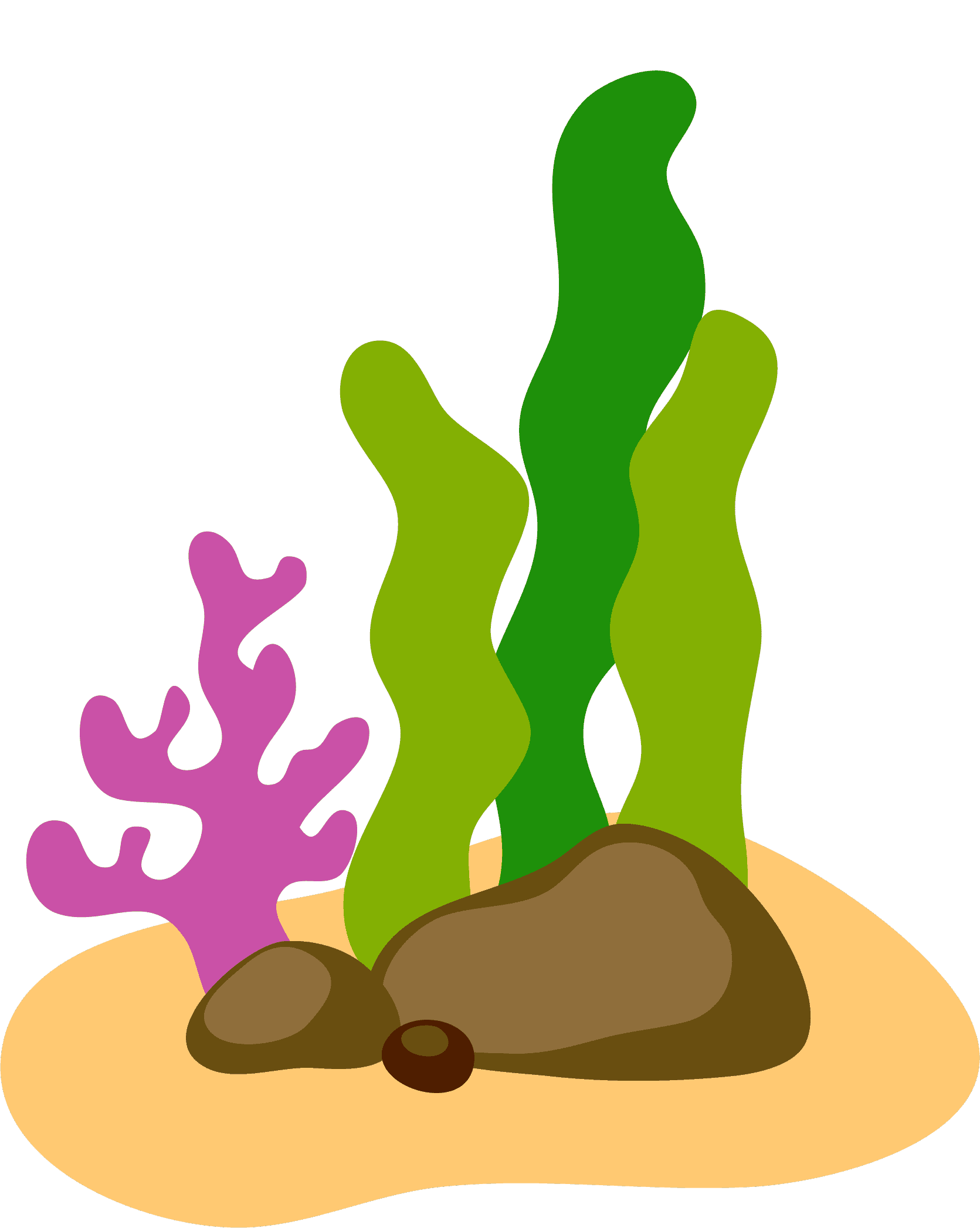 Рисунок раскраска водоросли (37 фото)