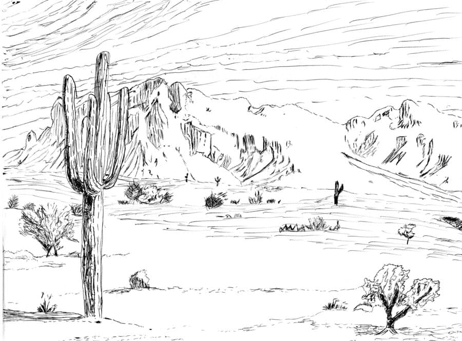 Раскраска Пустыня. Раскраска 9