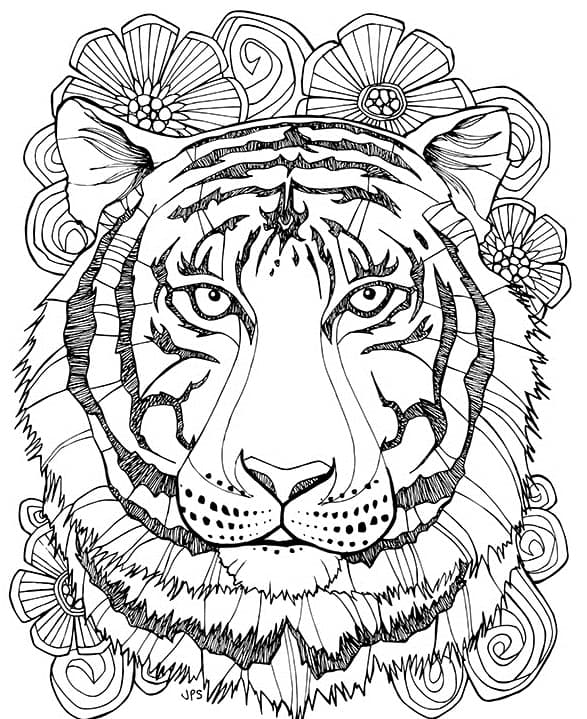Раскраска антистресс тигр. Раскраска 6