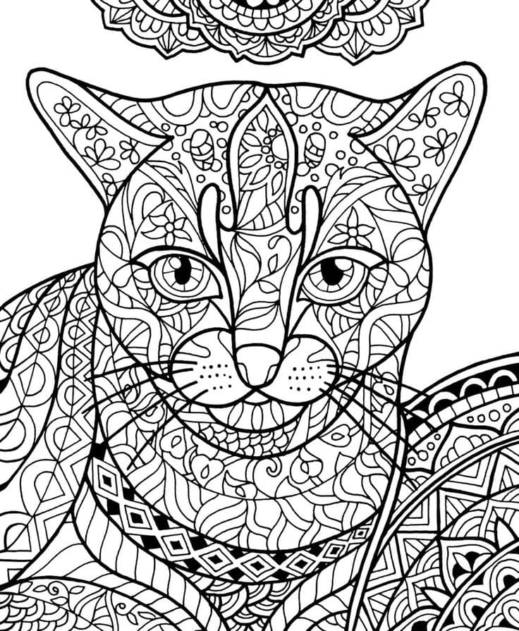 Раскраска антистресс кошка. Раскраска 12
