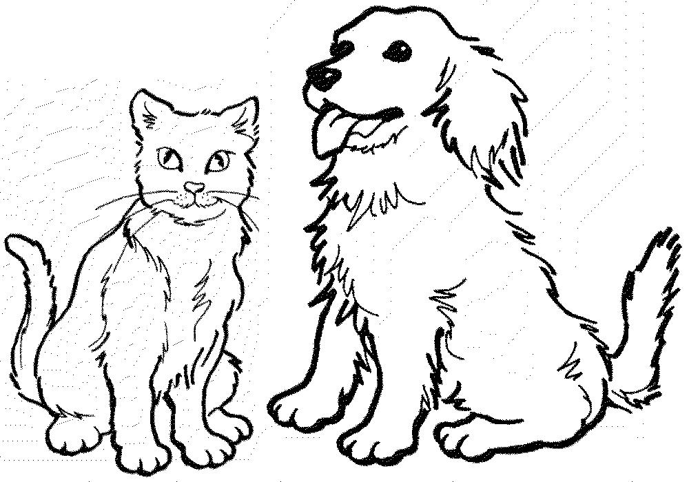 Раскраска Собака и Кошка